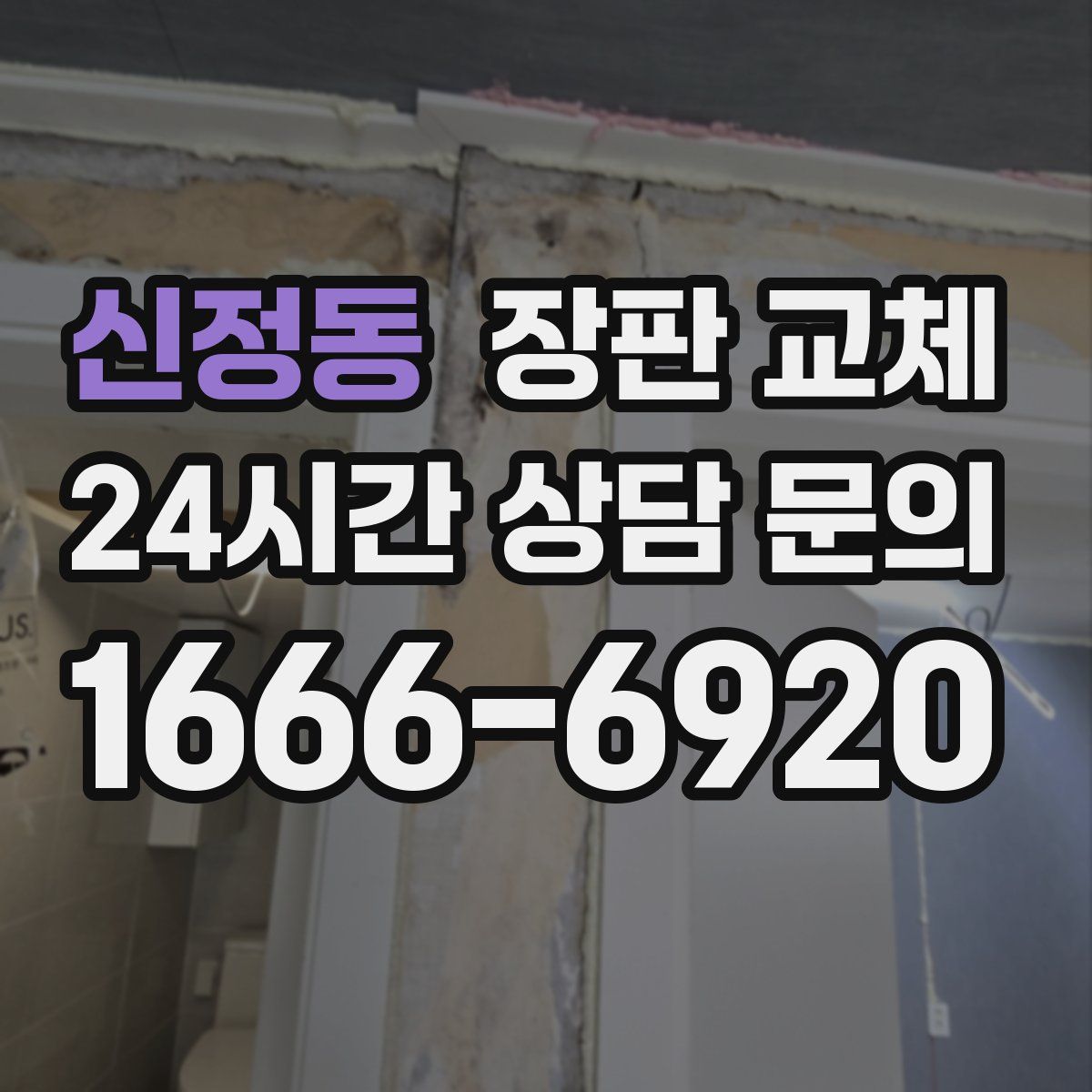 신정동 장판 교체