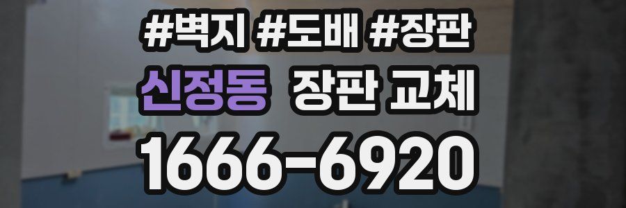 신정동 장판 교체