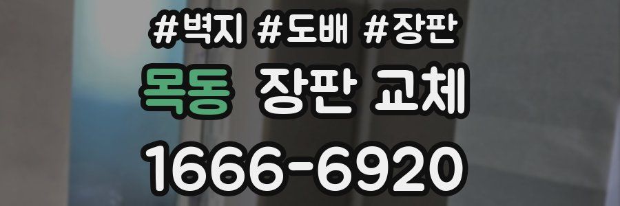 목동 장판 교체