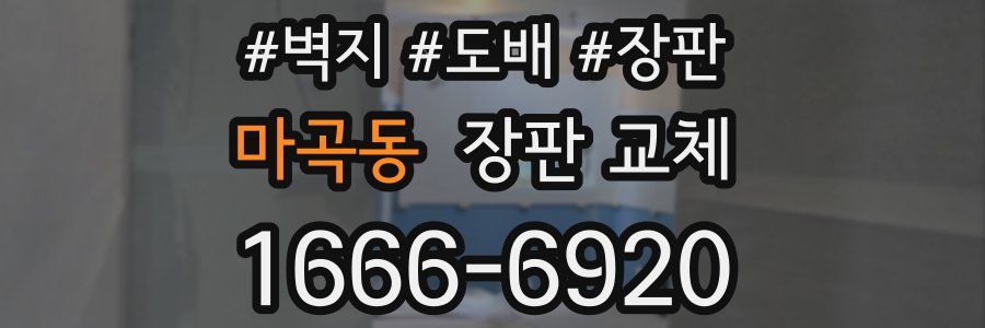 마곡동 장판 교체