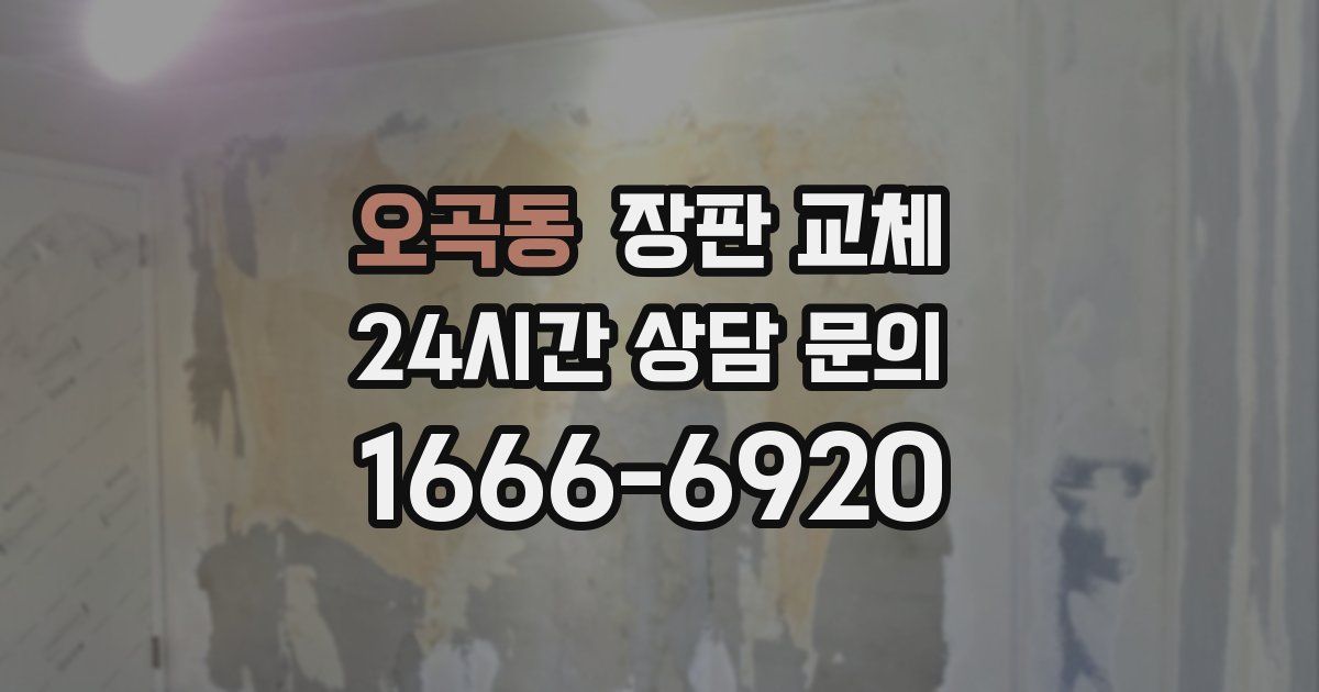 오곡동 장판 교체