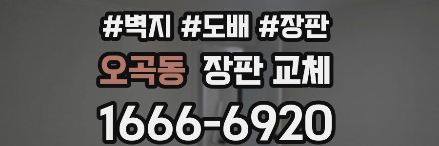 오곡동 장판 교체