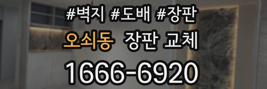 오쇠동 장판 교체