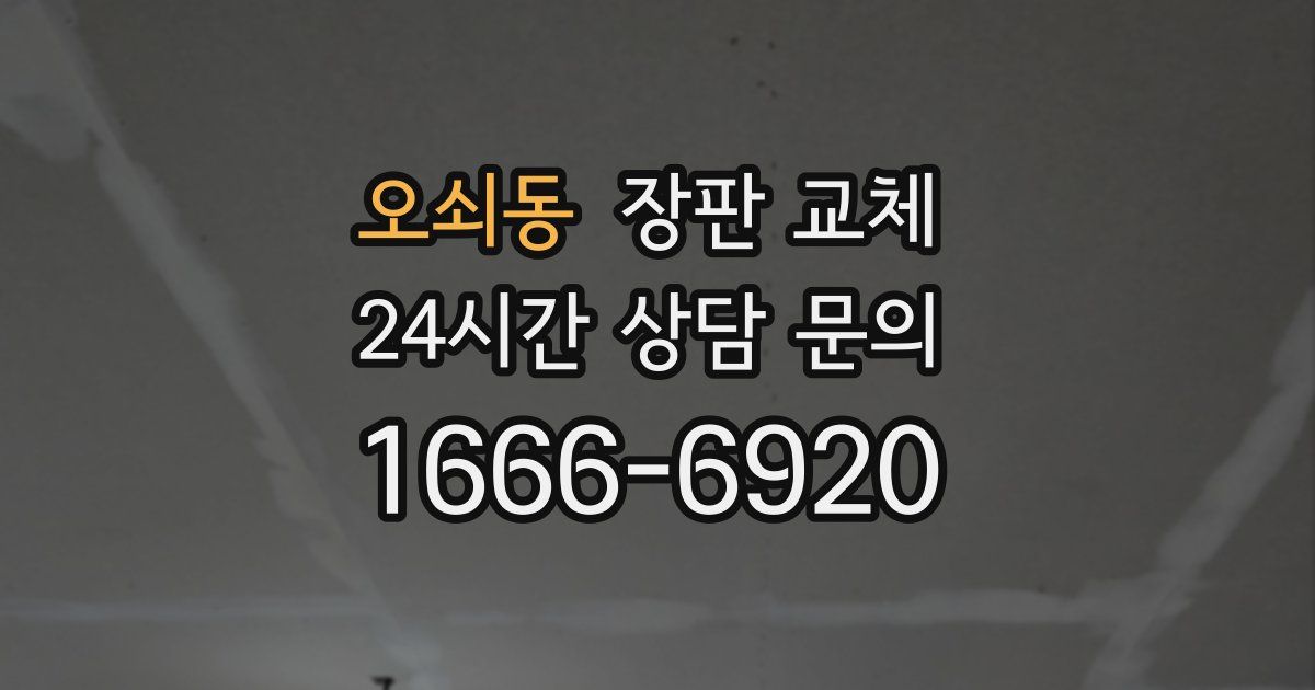 오쇠동 장판 교체