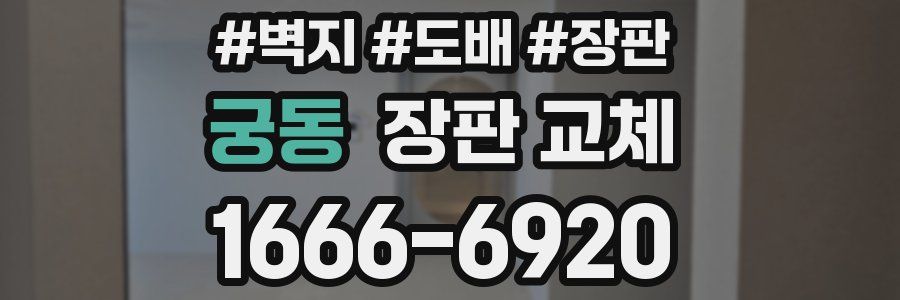 궁동 장판 교체