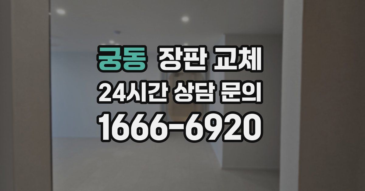 궁동 장판 교체