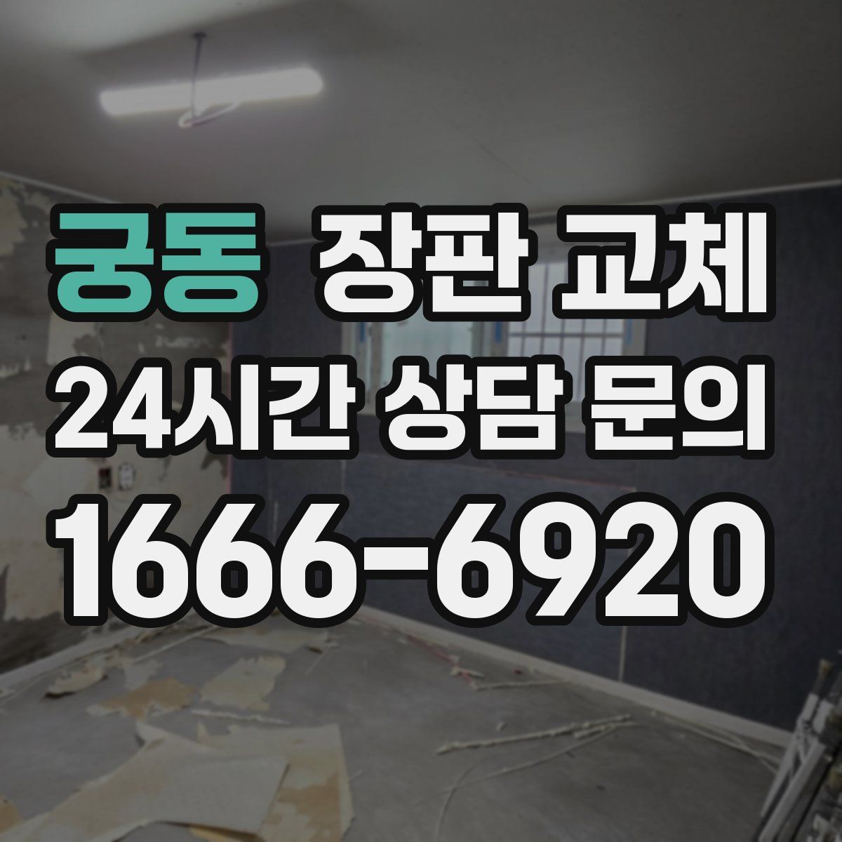 궁동 장판 교체
