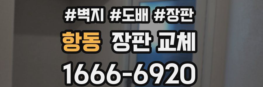 항동 장판 교체