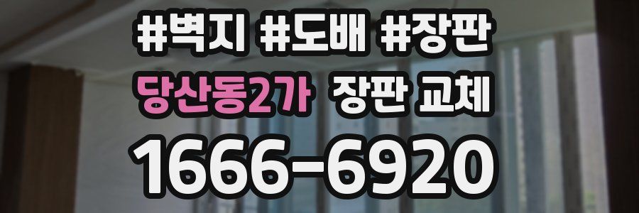 당산동2가 장판 교체