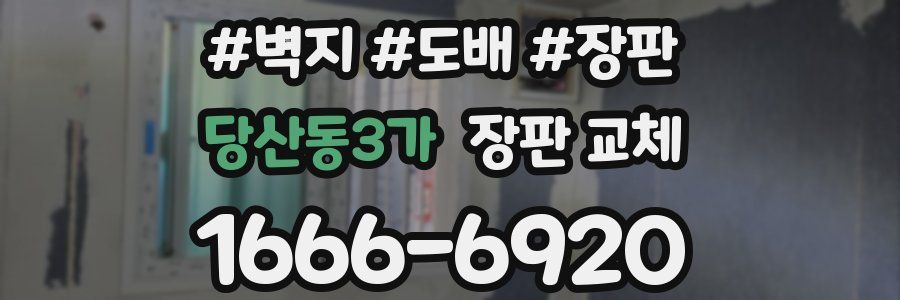 당산동3가 장판 교체