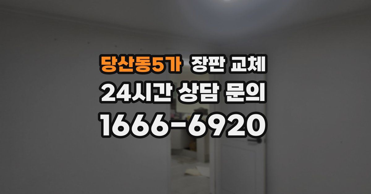 당산동5가 장판 교체