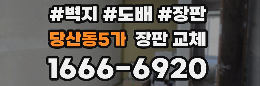 당산동5가 장판 교체