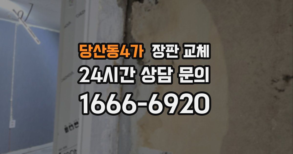 당산동4가 장판 교체