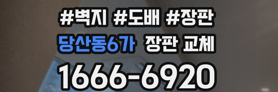 당산동6가 장판 교체