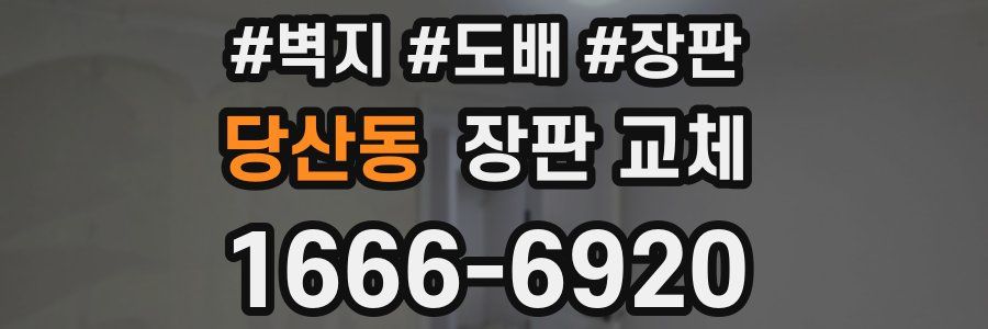 당산동 장판 교체
