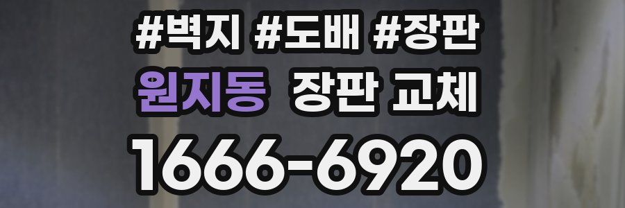 원지동 장판 교체