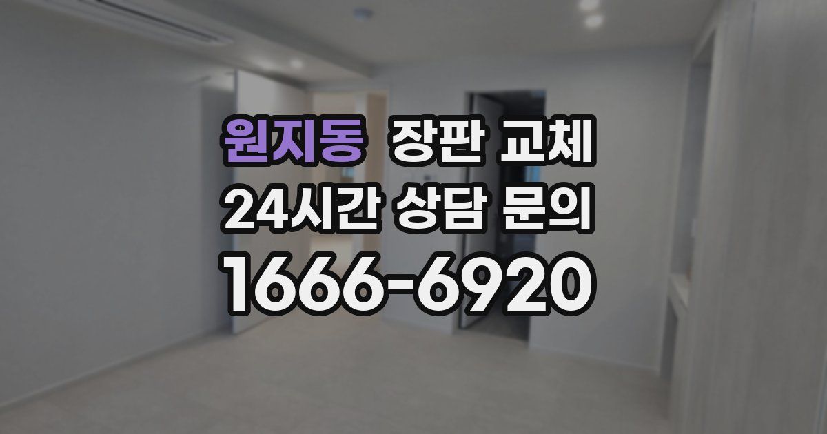 원지동 장판 교체