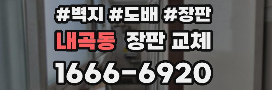 내곡동 장판 교체