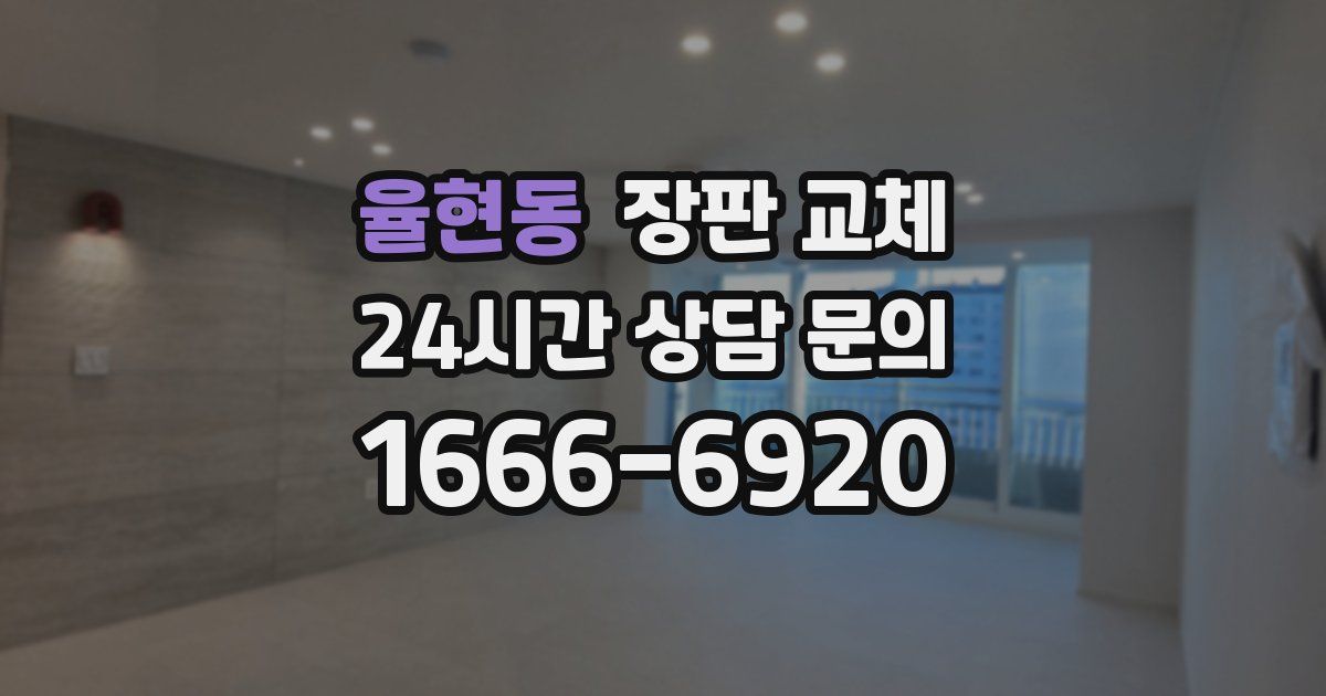 율현동 장판 교체