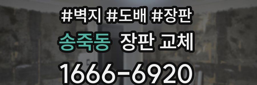 송죽동 장판 교체