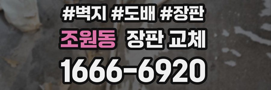 조원동 장판 교체