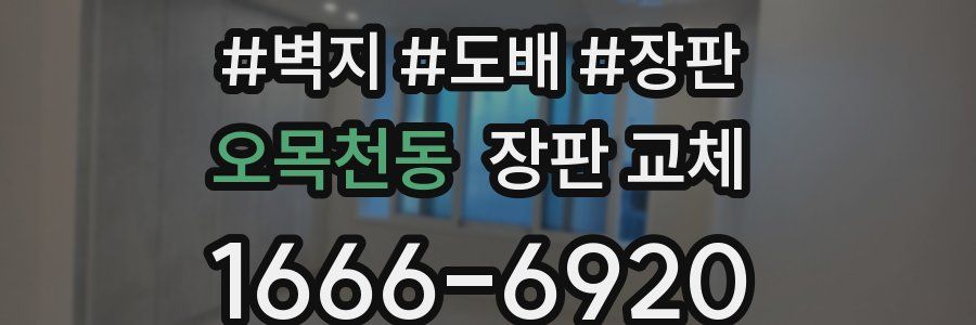 오목천동 장판 교체