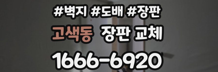 고색동 장판 교체