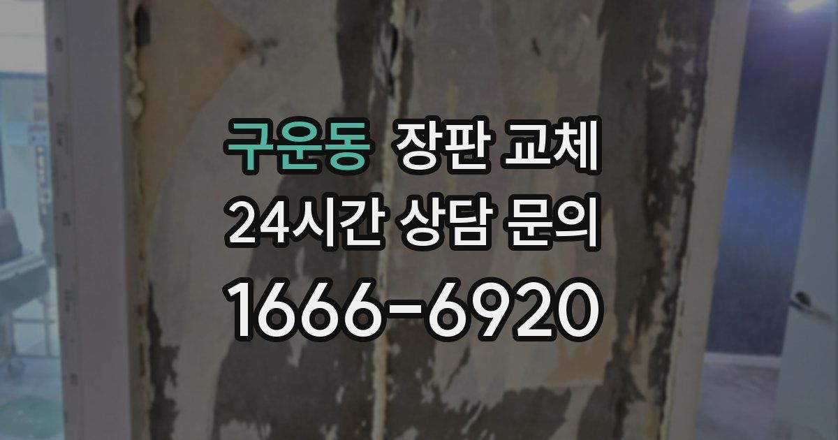 구운동 장판 교체