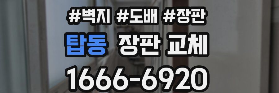 탑동 장판 교체