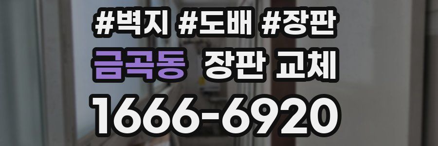 금곡동 장판 교체