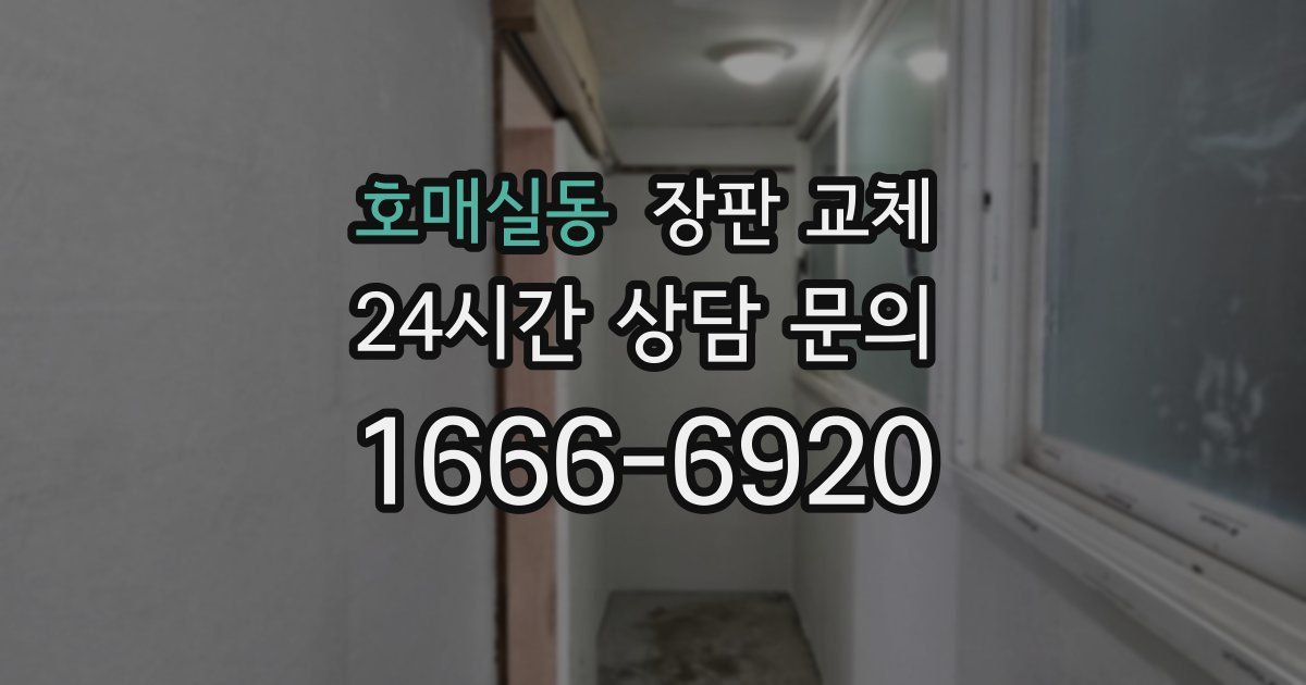호매실동 장판 교체
