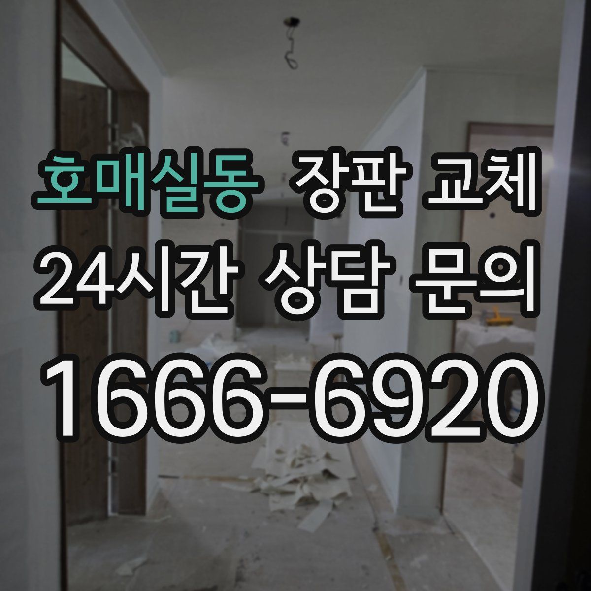 호매실동 장판 교체