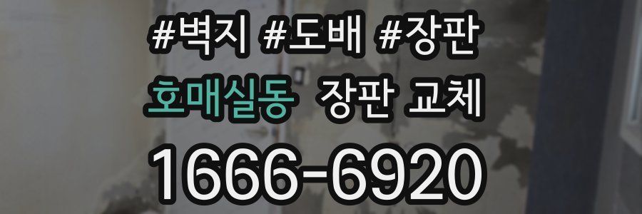 호매실동 장판 교체