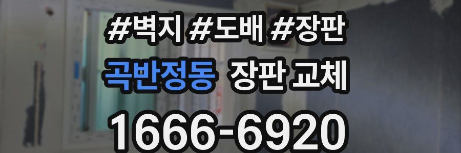 곡반정동 장판 교체