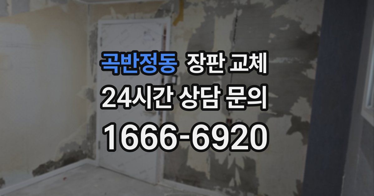 곡반정동 장판 교체