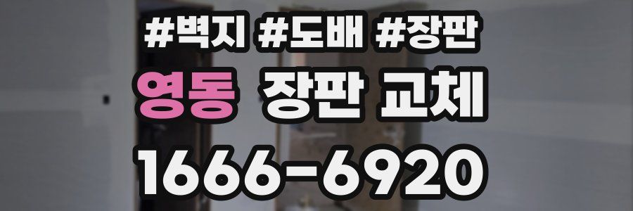 영동 장판 교체