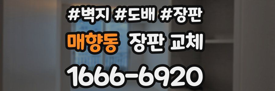 매향동 장판 교체
