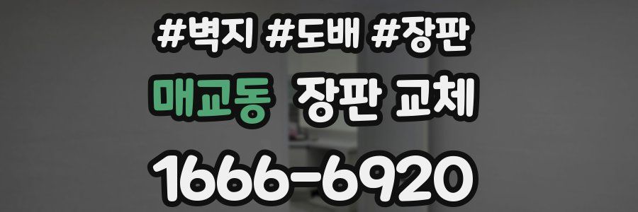 매교동 장판 교체