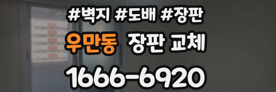 우만동 장판 교체