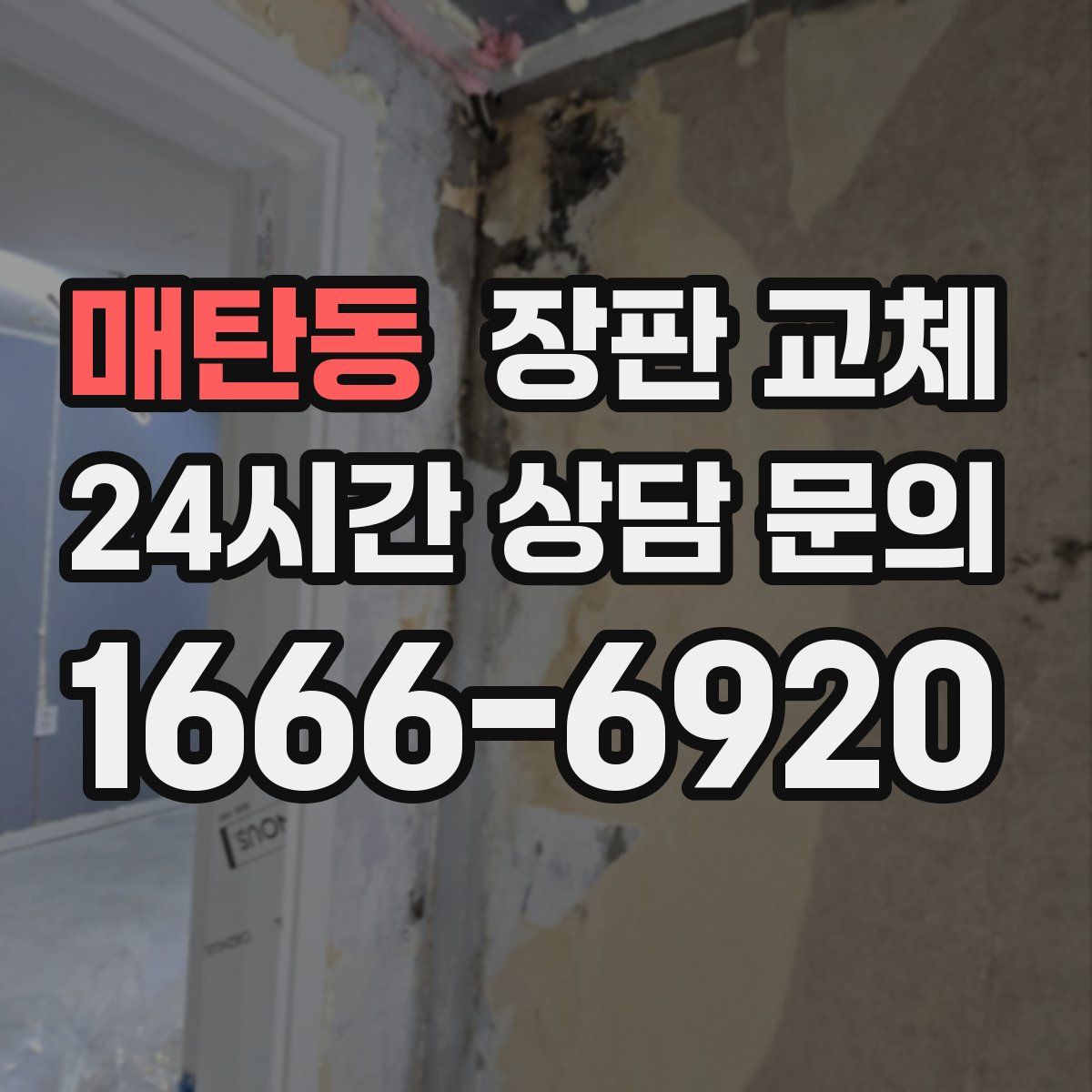매탄동 장판 교체