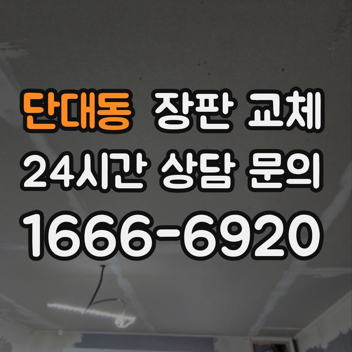 단대동 장판 교체
