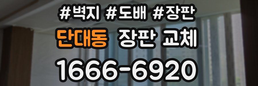 단대동 장판 교체