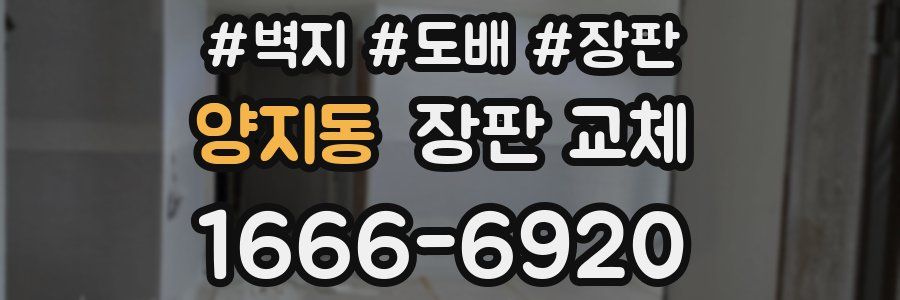 양지동 장판 교체