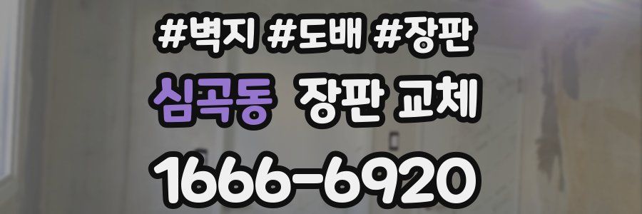 심곡동 장판 교체