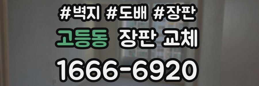 고등동 장판 교체