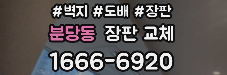 분당동 장판 교체