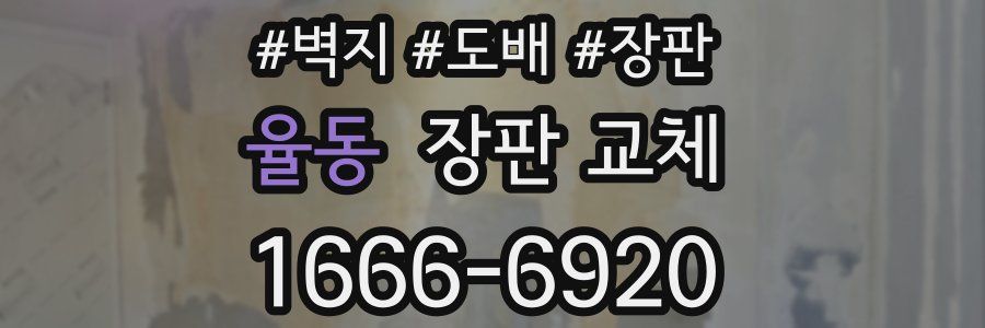 율동 장판 교체