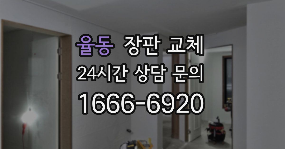 율동 장판 교체