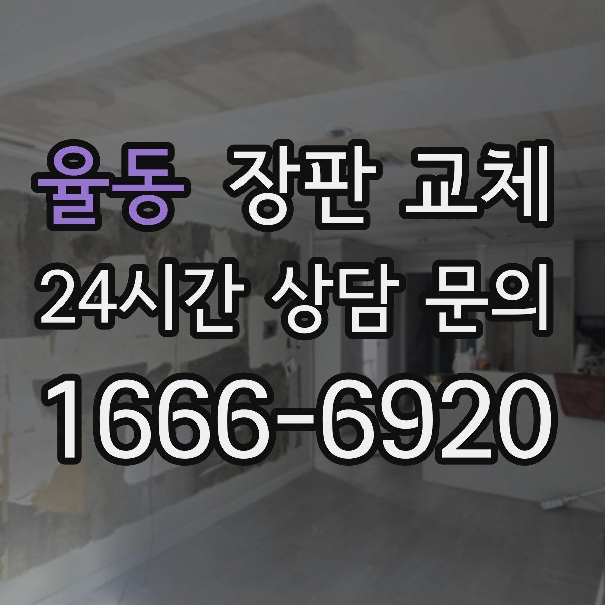 율동 장판 교체