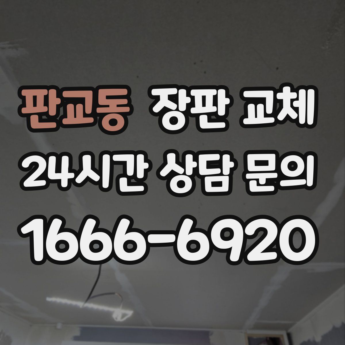 판교동 장판 교체